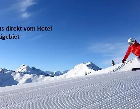 Hotel Alpenhof 3*