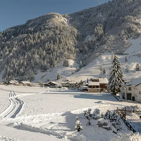 Alpenhof 3*
